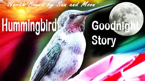  “The Hummingbird and the Moon” - A Story Filled With Dreams and Longing From Ancient Colombia!